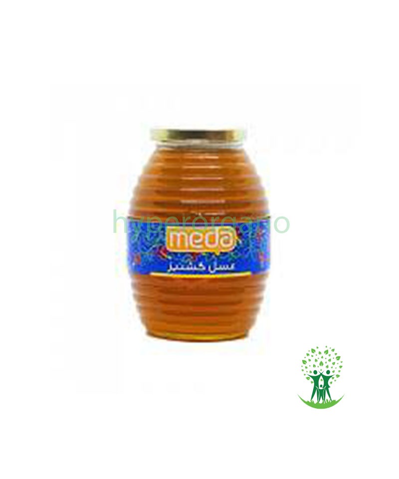 عسل گشنیز عسل گشنيز 500 گ ارگانيک مدا