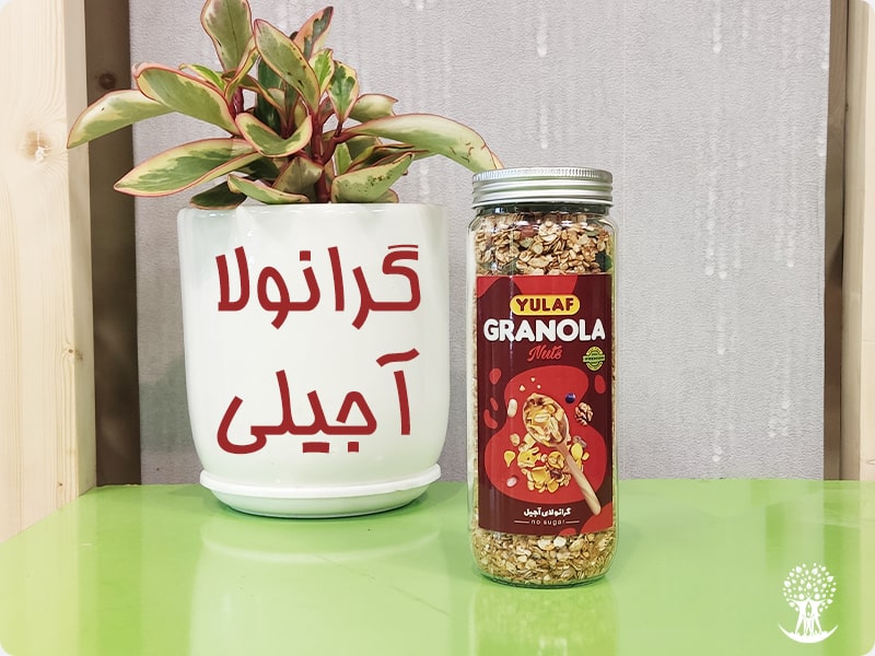 گرانولا چیست ؟ معرفی انواع گرانولا + طرز تهیه گرانولا - هایپر ارگانو